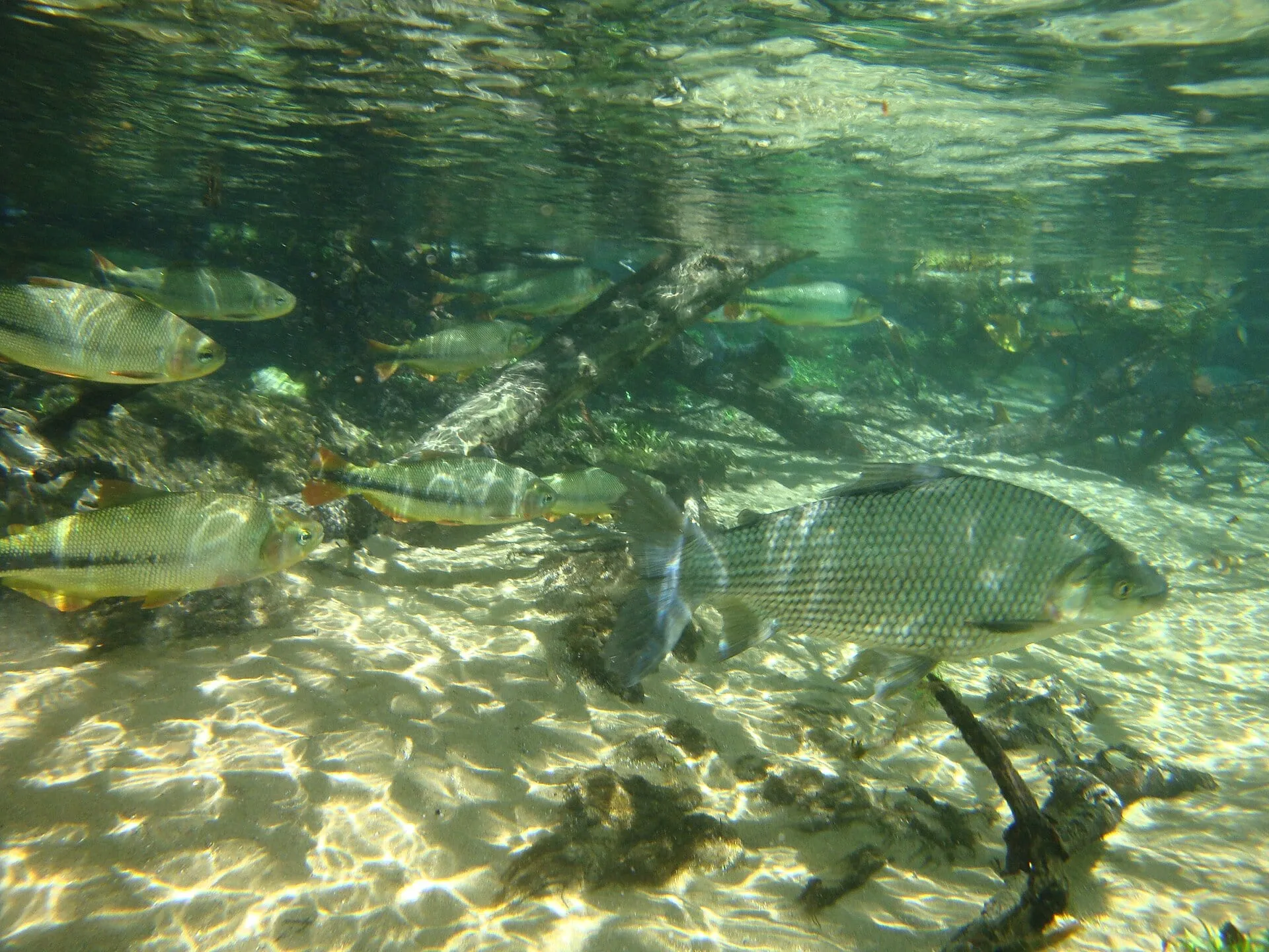 Crystal Clear Waters.JPG