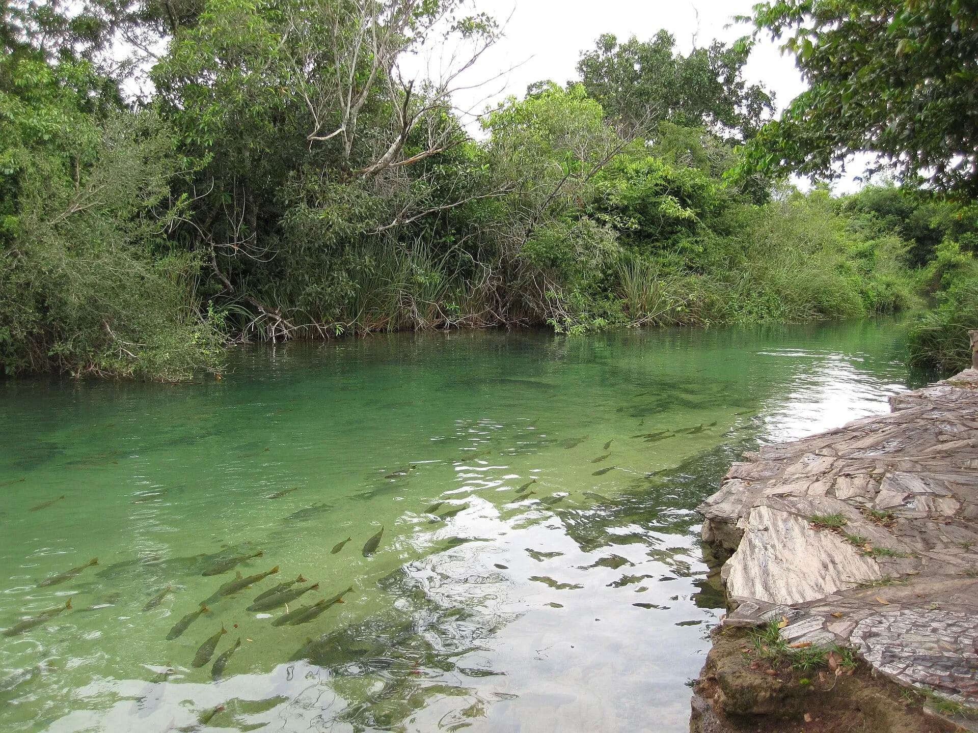 Rio Formoso, Bonito(MS) Caroline Meirelles