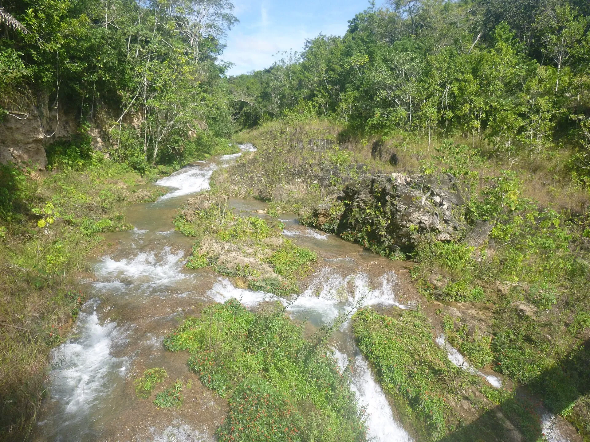 Paredão (Ceita Corê).jpg