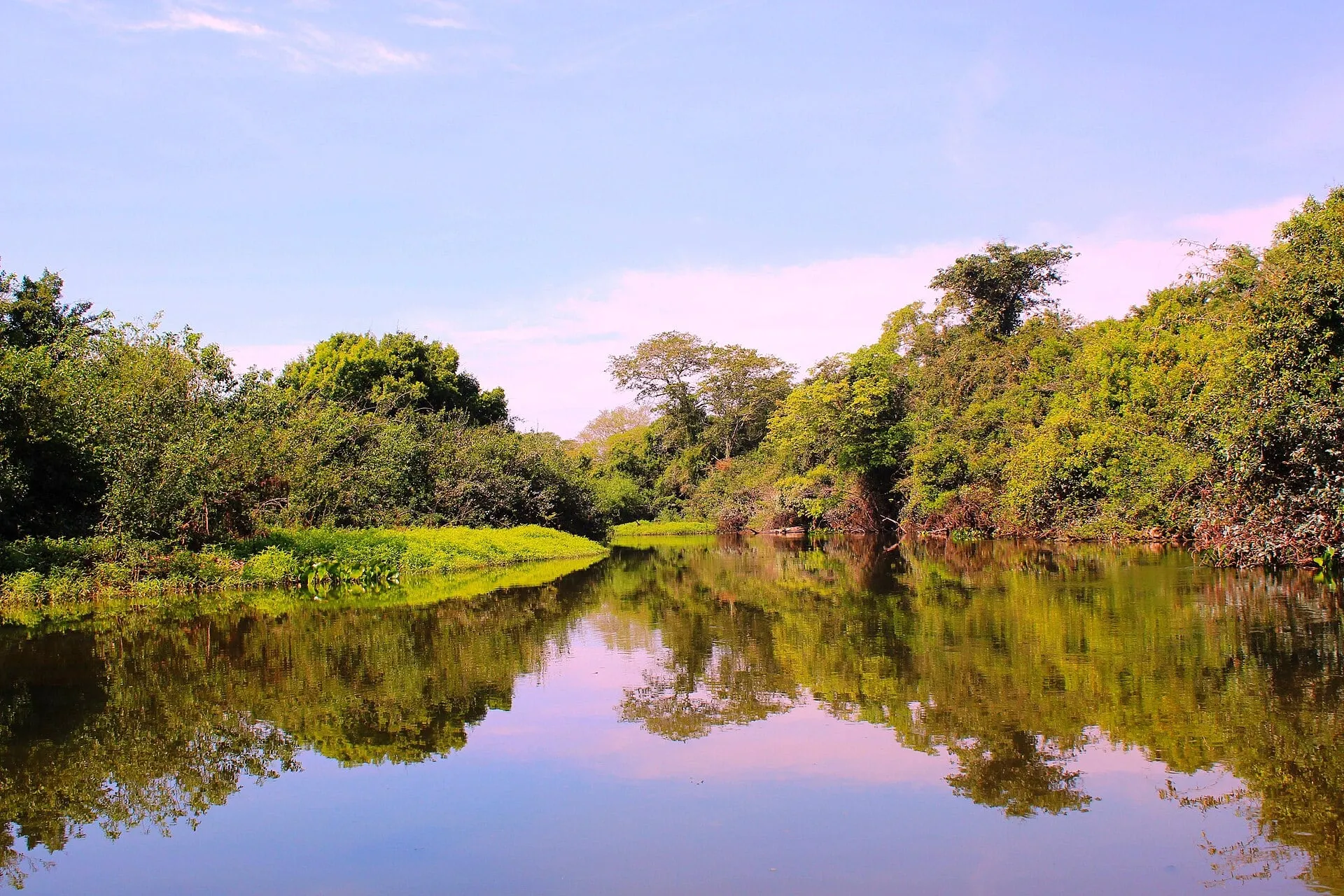 Brazil Mato Grosso Do Sul Pantanal Rivière Salobra Salobra River Miranda Municipe
