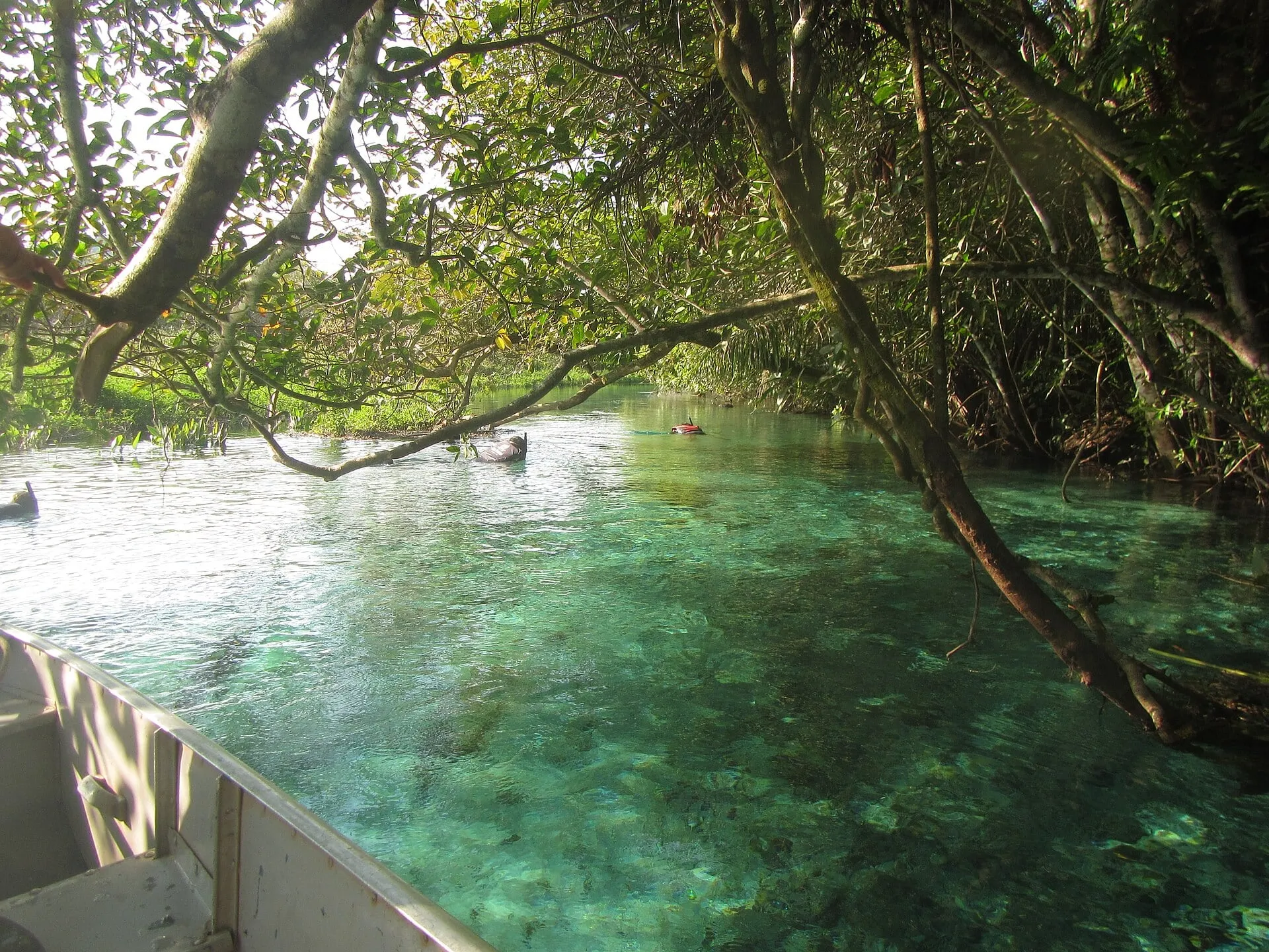 Rio Sucuri Bonito MS 3