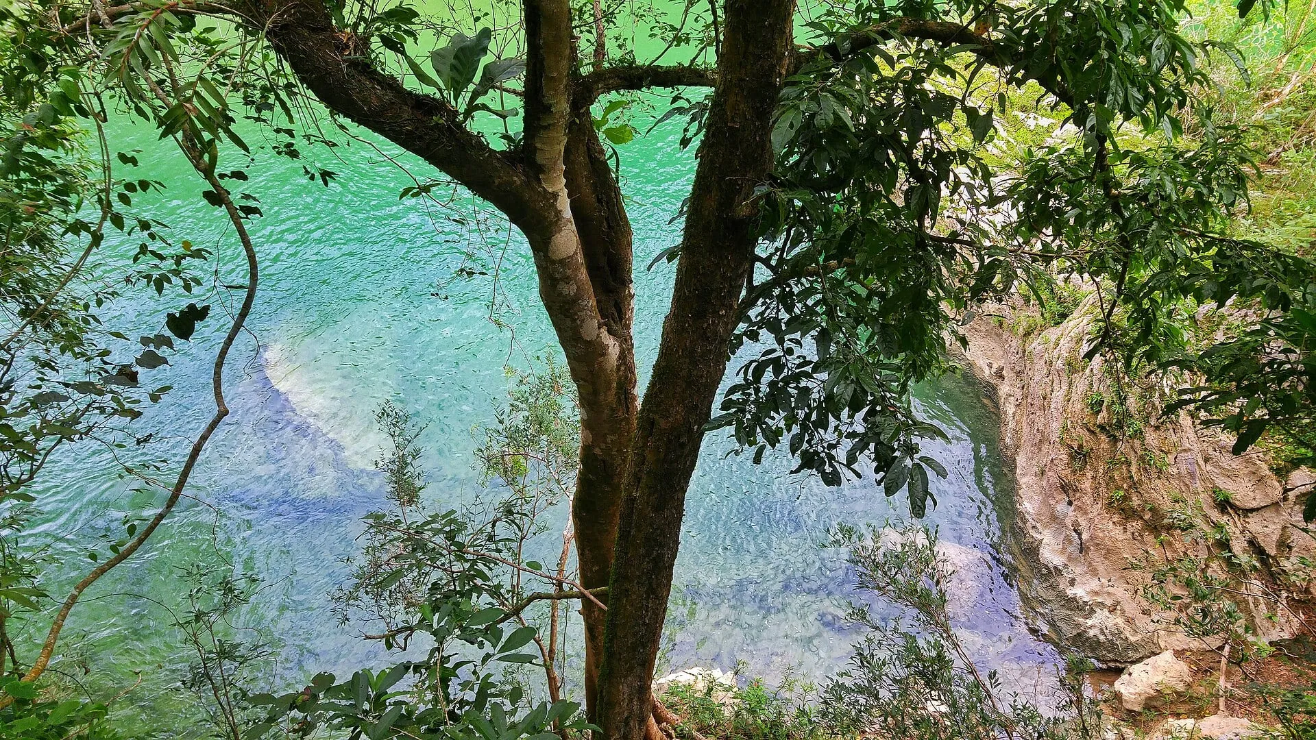 Rio Salobra.jpg